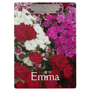 Weiß, Rosa und Rote Dianthus Klemmbrett