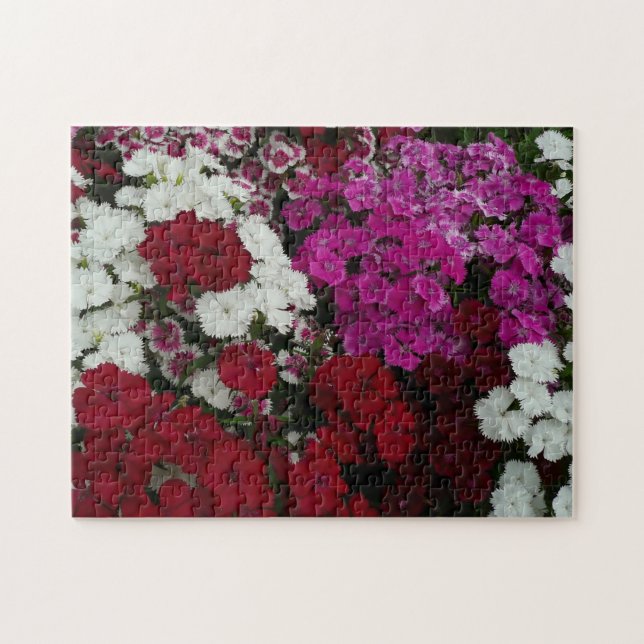 Weiß, Rosa und Rote Dianthus Puzzle (Horizontal)
