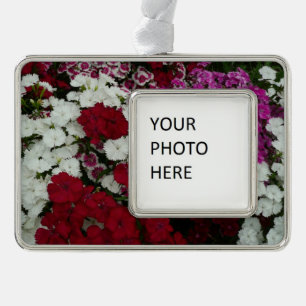 Weiß, Rosa und Rote Dianthus Rahmen-Ornament Silber