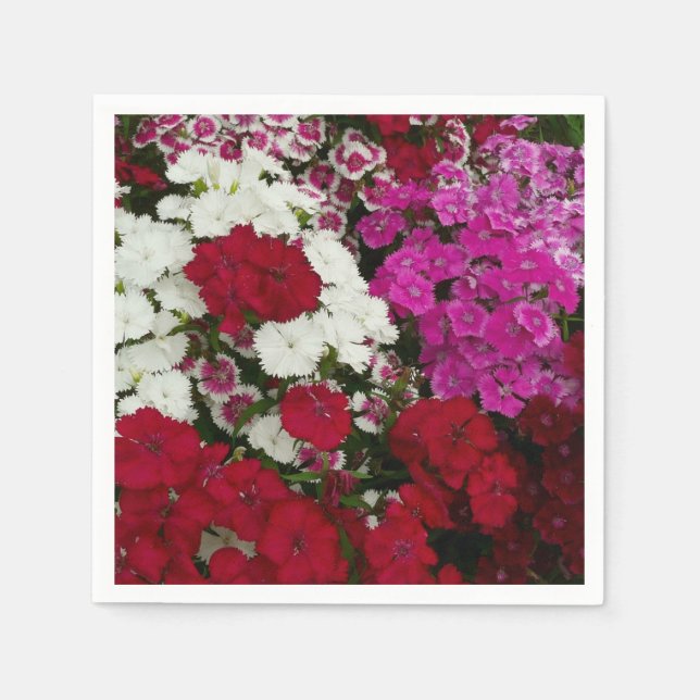 Weiß, Rosa und Rote Dianthus Serviette (Vorderseite)