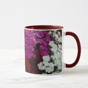 Weiß, Rosa und Rote Dianthus Tasse