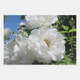 weiß, Rose, elegant, Vintag, floral, Blume, romant Geschenkpapier Set