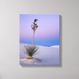 WEISS SANDS NATIONALES MONUMENT, NEUE MEXIKO. LEINWANDDRUCK