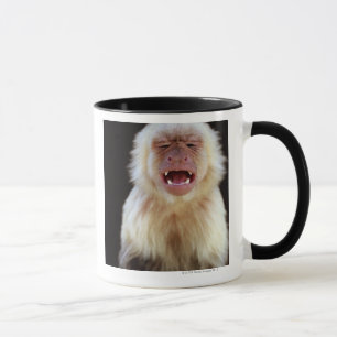 Weiß-throated Capuchin (Cebus capucinus) Tasse
