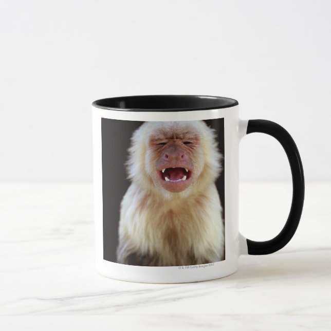 Weiß-throated Capuchin (Cebus capucinus) Tasse (Rechts)