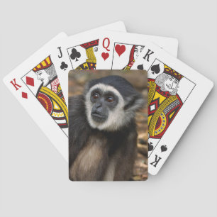 Weiß-Übergebener Gibbon (HylobatesLar), Monkeyland Spielkarten