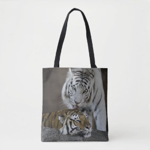 Weiß und Brown-Tiger-Stillstehen