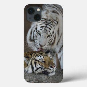 Weiß und Brown-Tiger-Stillstehen iPhone 13 Hülle