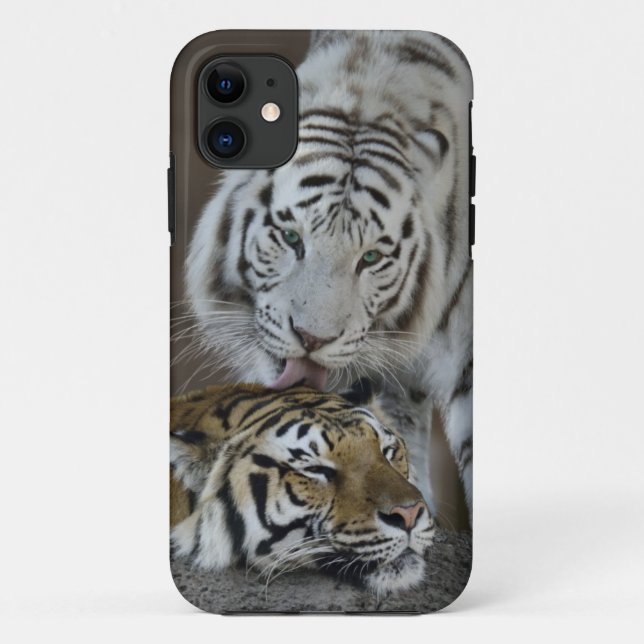 Weiß und Brown-Tiger-Stillstehen Case-Mate iPhone Hülle (Rückseite)