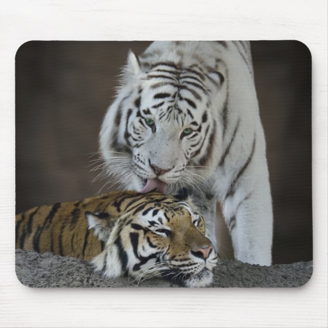 Weiß und Brown-Tiger-Stillstehen Mousepad (Vorne)