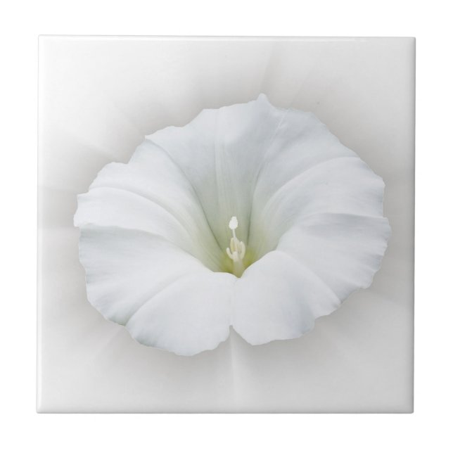 weiß und grau fliese (Vorderseite)