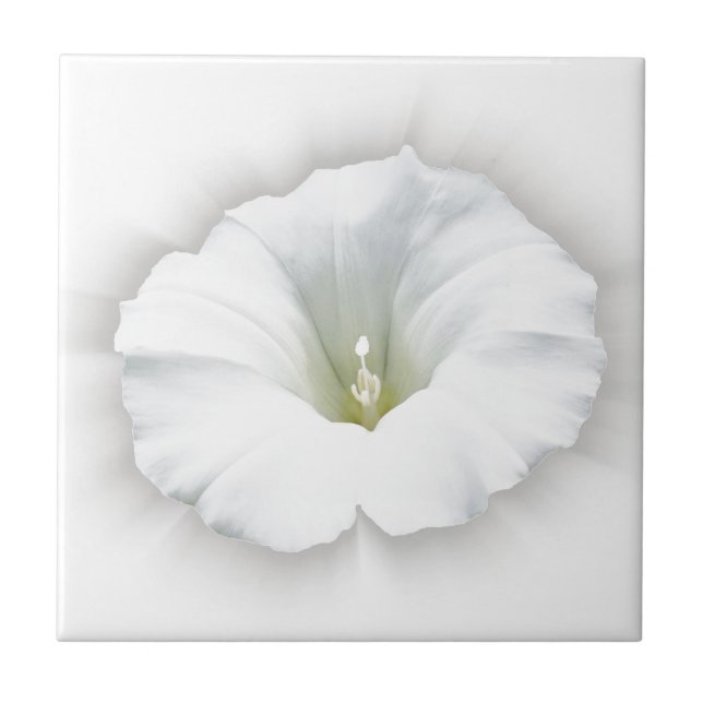 weiß und grau fliese (Vorderseite)