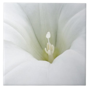 weiß und grau fliese