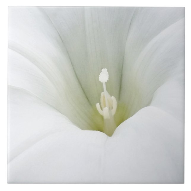 weiß und grau fliese (Vorderseite)