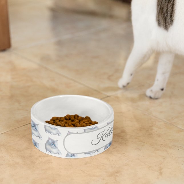 Weiß und Gray Fluffy Furry Kitten Napf (Von Creator hochgeladen)