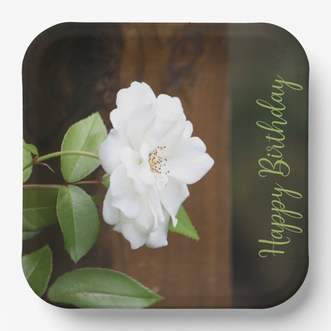 Weiß und grün - eleganter Platz Pappteller (Vorderseite)