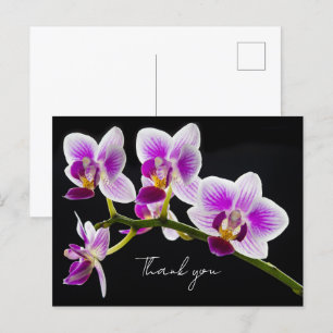 Weiß und Lila Orchid Vielen Dank Postcard Postkarte