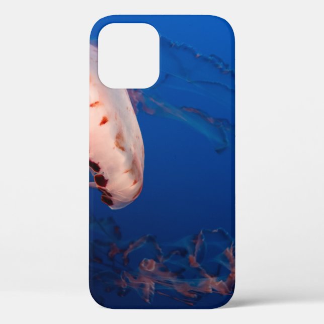 WEISS UND ORANGE JELLYFISH Case-Mate iPhone HÜLLE (Rückseite)