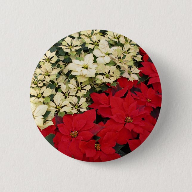 Weiß und rot Poinsettias I Holiday Floral Button (Vorderseite)