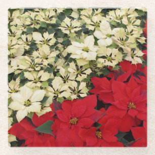 Weiß und rot Poinsettias I Holiday Floral Glasuntersetzer