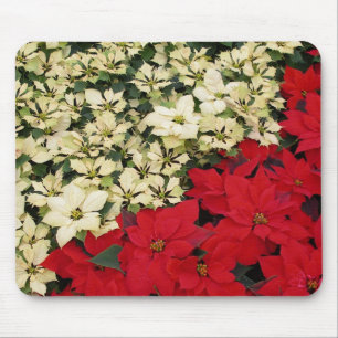 Weiß und rot Poinsettias I Holiday Floral Mousepad