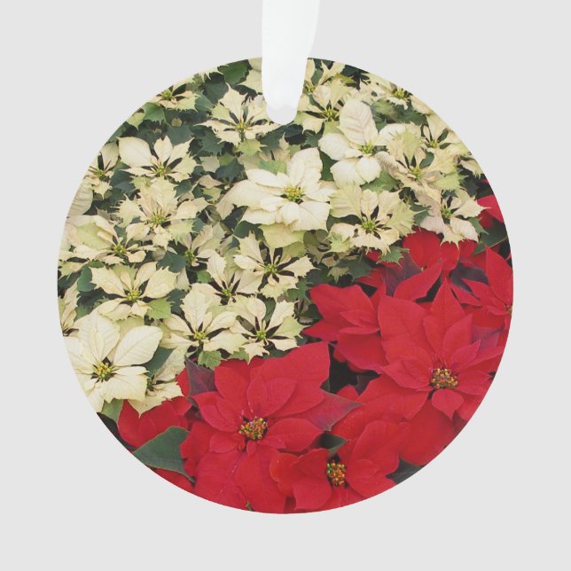 Weiß und rot Poinsettias I Holiday Floral Ornament (Vorderseite)