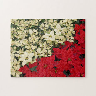 Weiß und rot Poinsettias I Holiday Floral Puzzle