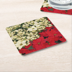 Weiß und rot Poinsettias I Holiday Floral Rechteckiger Pappuntersetzer