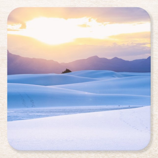 Weiß versandet nationales Monument 3 Rechteckiger Pappuntersetzer (Vorderseite)