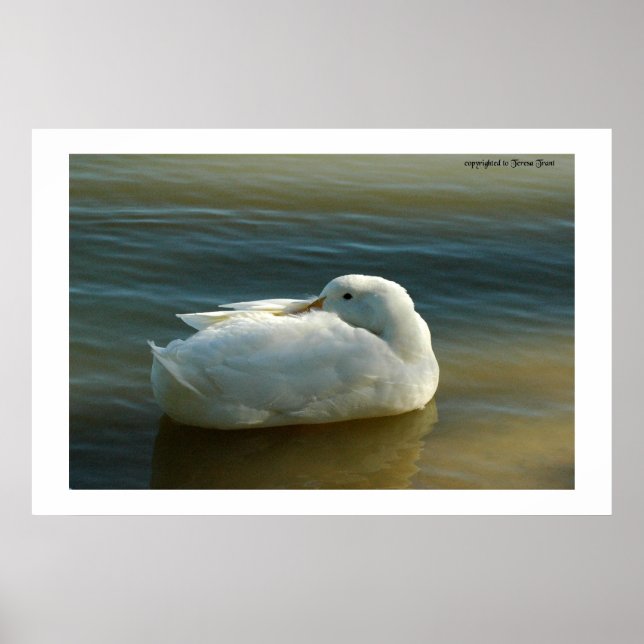 Weiß weich poster (Vorne)