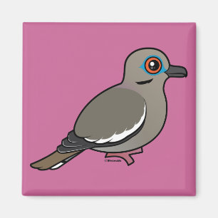 Weiß-winged Taube Magnet