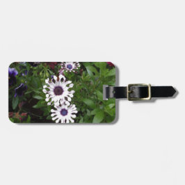Weißafrikanischer Daisy Gepäckanhänger