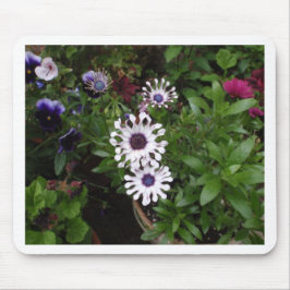 Weißafrikanischer Daisy Mousepad