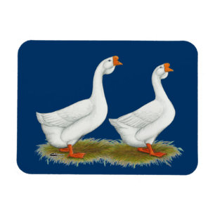 Weißafrikanischer Gänse Magnet