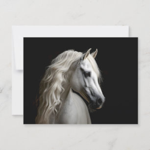 Weißandalusischer Stallion Postkarte