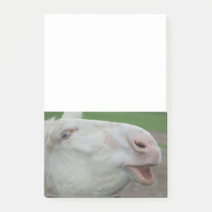 Weißbarocke Donkey Post-it Klebezettel