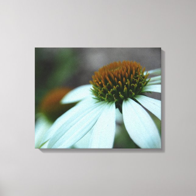 Weißblättern, Blume (Leinwand) Leinwanddruck (Vorderseite)