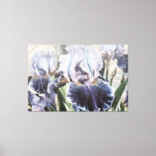 *~* Weißblaue IRIS Schwertlilien Vintage-Blumen TV Leinwanddruck
