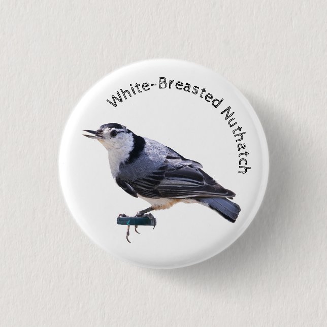 Weißbrüste Button (Vorderseite)