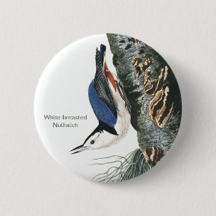 Weißbrüste, Vogelmode Button