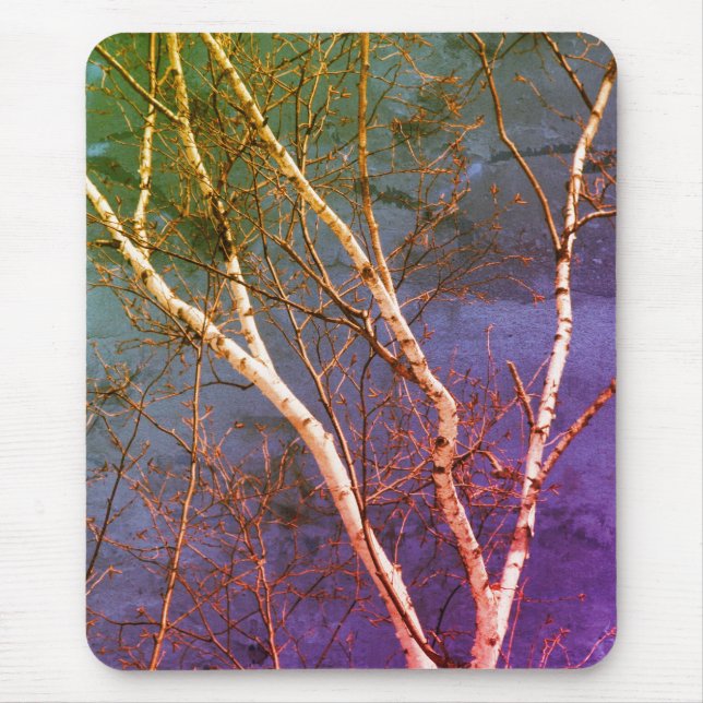 Weißbuch Birch Tree Blue Sky Nature Art Mousepad (Vorne)
