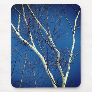Weißbuch Birch Tree Blue Sky Nature Mousepad