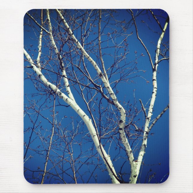 Weißbuch Birch Tree Blue Sky Nature Mousepad (Vorne)