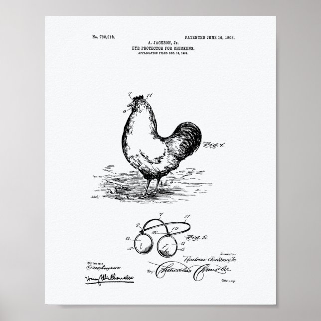 Weißbuch zum Thema Patentschutz von Hühnern 1903 Poster (Vorne)