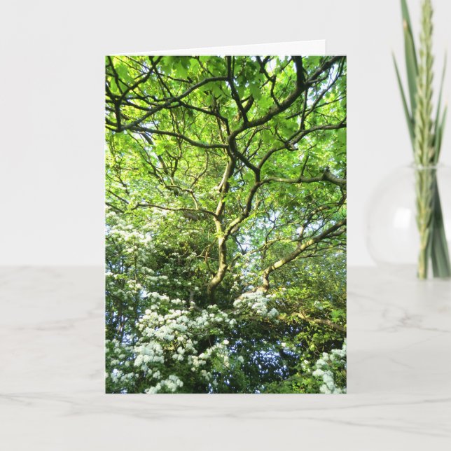 Weißdorn und Eiche Handfasting Karte (Vorderseite)