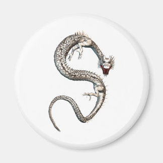 Weißdrache Magnet
