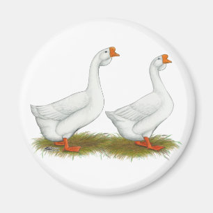 Weiße afrikanische Gänse Magnet