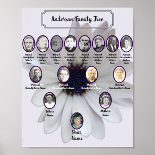 Weiße Afrikanische Gänseblümchen-Oval-Vorfahren-Fo Poster