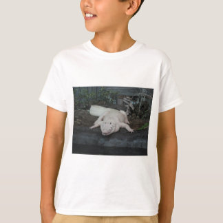 Weiße Alligatorin T-Shirt