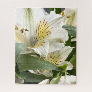 Weiße Alstroemeria-Blumen Nahaufnahme-Fotografie Puzzle